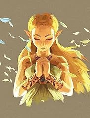 Legend zelda breath gebraucht kaufen  Wird an jeden Ort in Deutschland
