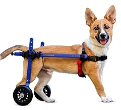 Dog wheelchair mini for sale  Delivered anywhere in USA 