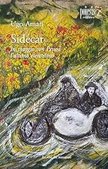 Sidecar. viaggio con usato  Spedito ovunque in Italia 