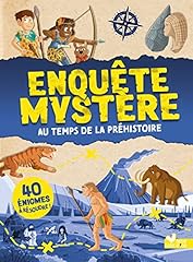 Temps préhistoire d'occasion  Livré partout en Belgiqu