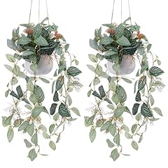 Funzhan 2pcs fake for sale  Delivered anywhere in USA 