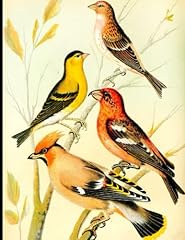 Siskin redpoll waxwing for sale  Delivered anywhere in UK