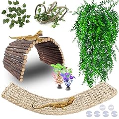 Grddaef bearded dragon for sale  Delivered anywhere in USA 