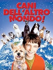Cani dell altro usato  Spedito ovunque in Italia 