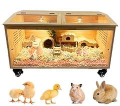 Chick box gabbia usato  Spedito ovunque in Italia 
