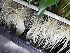 Clone king site for sale  Delivered anywhere in USA 