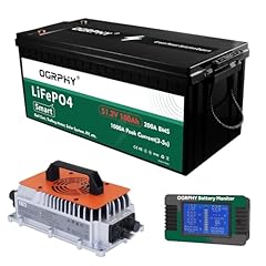 Ogrphy 48v lithium for sale  Delivered anywhere in USA 