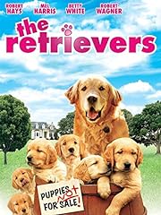 Retrievers for sale  Delivered anywhere in USA 