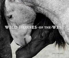 Wild horses west for sale  Delivered anywhere in USA 