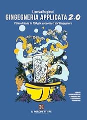 Gingegneria applicata 2.0. usato  Spedito ovunque in Italia 