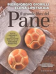 Grande libro del usato  Spedito ovunque in Italia 