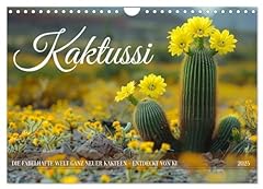 Kaktussi calvendo monatskalend gebraucht kaufen  Wird an jeden Ort in Deutschland