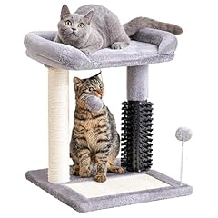Made4pets small cat for sale  Delivered anywhere in USA 
