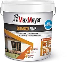 Maxmeyer pittura per usato  Spedito ovunque in Italia 