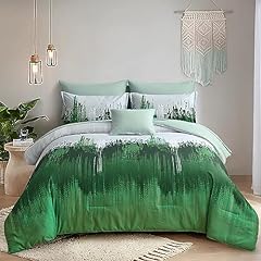 Dinjoy ombre green for sale  Delivered anywhere in USA 