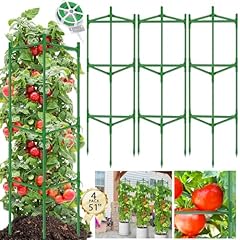 Wyrjxyb packs tomato for sale  Delivered anywhere in USA 