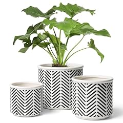 T4u ceramic planters for sale  Delivered anywhere in USA 