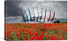 Red arrows poppy for sale  Delivered anywhere in UK