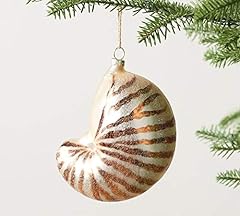 Conch shell mercury for sale  Delivered anywhere in USA 
