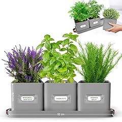 Green thumbz herb for sale  Delivered anywhere in UK