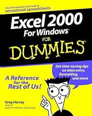 Excel 2000 windows for sale  Delivered anywhere in USA 