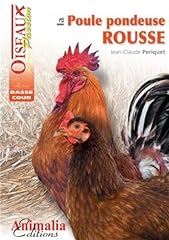 Poule pondeuse rousse d'occasion  Livré partout en Belgiqu