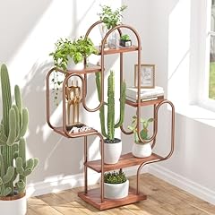 Allinside cactus corner for sale  Delivered anywhere in USA 