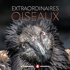 Extraordinaires oiseaux d'occasion  Livré partout en France