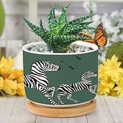 Bruyu5se green zebra for sale  Delivered anywhere in USA 