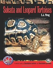 Sulcata leopard tortoises for sale  Delivered anywhere in USA 