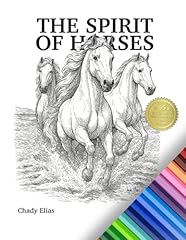 The spirit horses usato  Spedito ovunque in Italia 