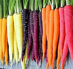 Rainbow carrot seeds for sale  Delivered anywhere in USA 