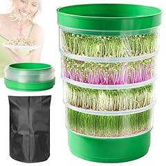 Aomgd tier sprouts for sale  Delivered anywhere in USA 