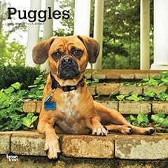Puggles calendar 2025 for sale  Delivered anywhere in UK
