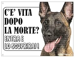 Lovelytiles malinois pastore usato  Spedito ovunque in Italia 