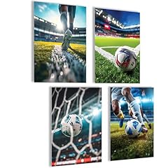Mojoliving fussball poster gebraucht kaufen  Wird an jeden Ort in Deutschland