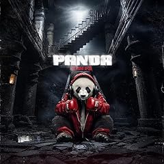 Panda gebraucht kaufen  Wird an jeden Ort in Deutschland