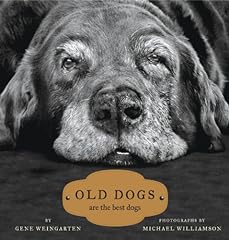 Old dogs best for sale  Delivered anywhere in USA 