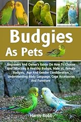 Budgies pets beginners for sale  Delivered anywhere in UK