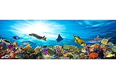 Great barrier reef for sale  Delivered anywhere in USA 
