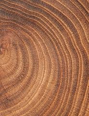 Tree rings wood for sale  Delivered anywhere in UK