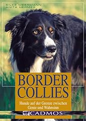 Border collies hunde gebraucht kaufen  Wird an jeden Ort in Deutschland