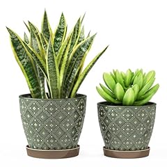 Docrin ceramic plant for sale  Delivered anywhere in USA 