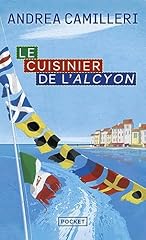 Cuisinier alcyon d'occasion  Livré partout en Belgiqu