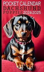 2024 2025 dachshund for sale  Delivered anywhere in USA 