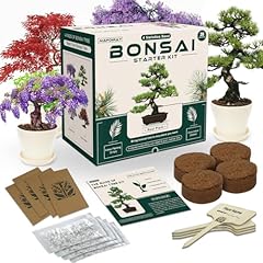 Bonsai tree kits for sale  Delivered anywhere in USA 