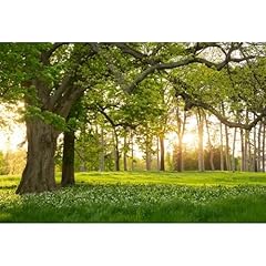 Leowefowa 12x10ft spring for sale  Delivered anywhere in USA 