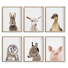 Farmhouse baby animal for sale  Delivered anywhere in USA 