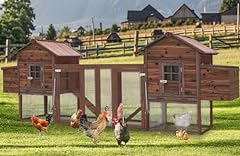 Outdoor 160 chicken for sale  Delivered anywhere in USA 