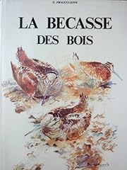 Bécasse bois d'occasion  Livré partout en France